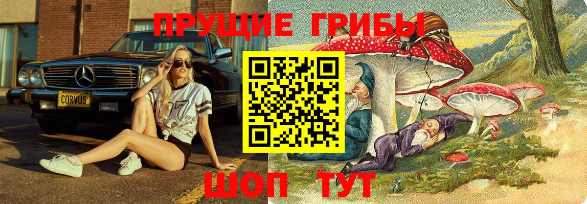 Сыктывкар  Псилоцибиновые грибы ЛСД  Вход с VPN  Псилоцибиновые грибы Cubensis 