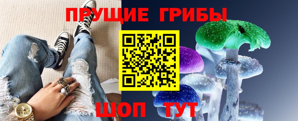 Галлюциногенные грибы мухоморы Сыктывкар